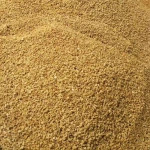 Gráinnín Gairleog Rósta